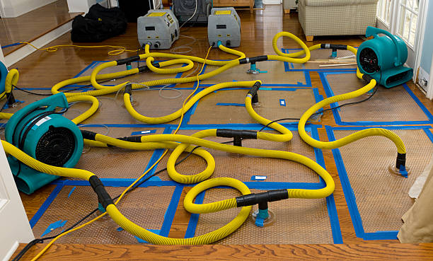 Professional Storm Water Damage Restoration technician working in Montgomery Village, MD